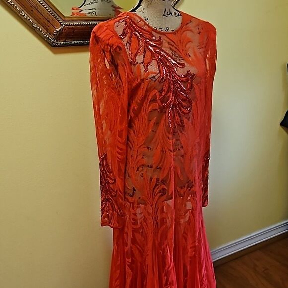 Vintage Sheer Red Lace Whimsigoth Maxi Gown size Large - Picture 5 of 12